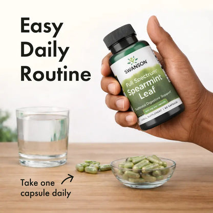 SpearBalance Wellness Support