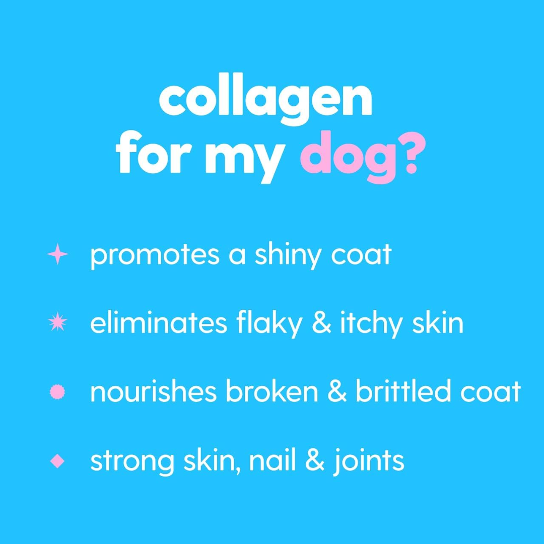 VitalPaws Collagen Drops