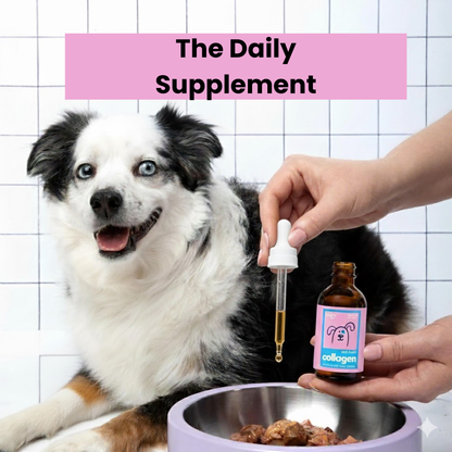 VitalPaws Collagen Drops