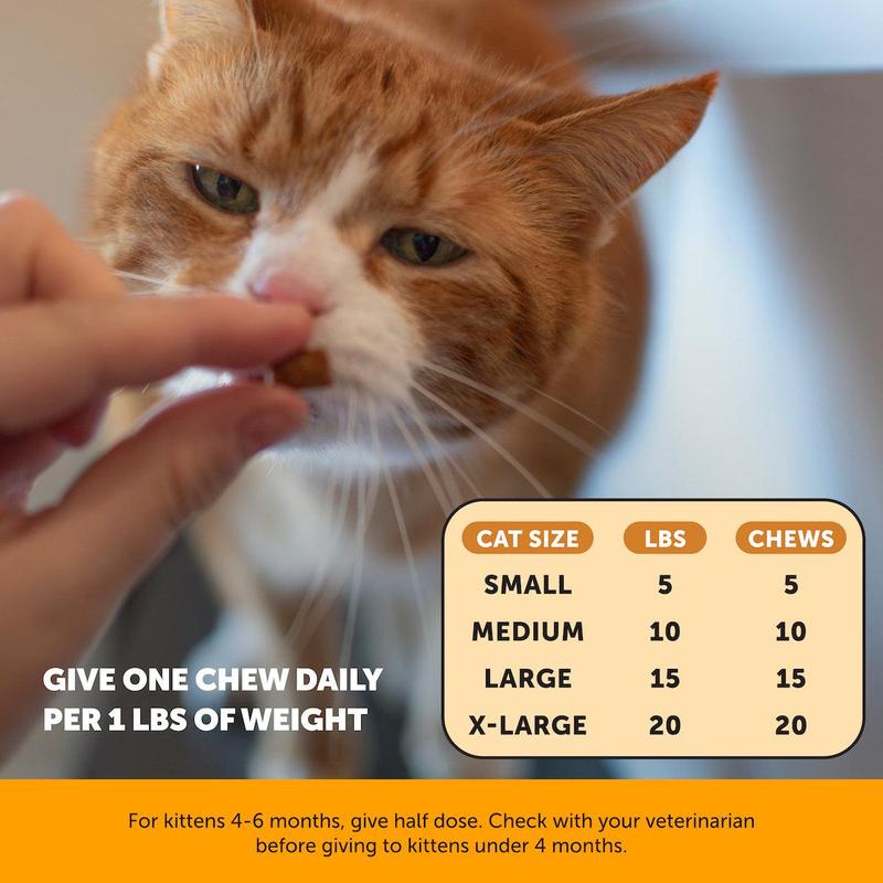 PurrDefense Daily Immune Treats